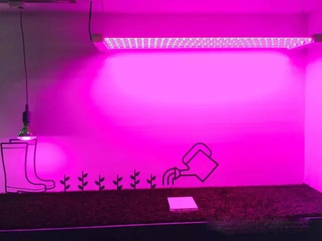 法拉克福觀展印象：OLED照明、植物照明、裝飾照明