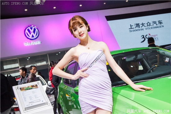 2016第十四屆華中國際汽車展覽會(huì)(圖4)